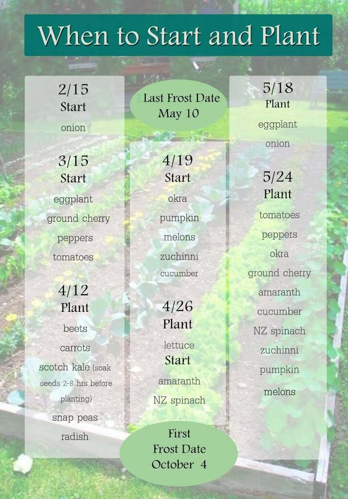 When To Start And Plant Zone 5 The Herbal Spoon
