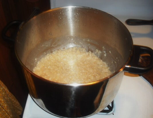 Homemade rice milk 