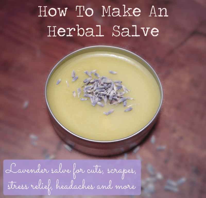 how to make lavender salve for stress, headaches, skin, and more - The Herbal Spoon