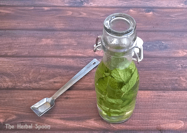 How to make mint extract, perfect for baking or gifts- The Herbal Spoon
