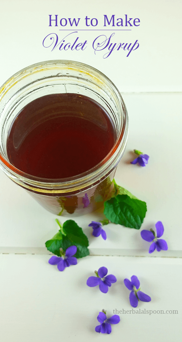 How to make violet syrup and the health benefits of violets - The Herbal Spoon