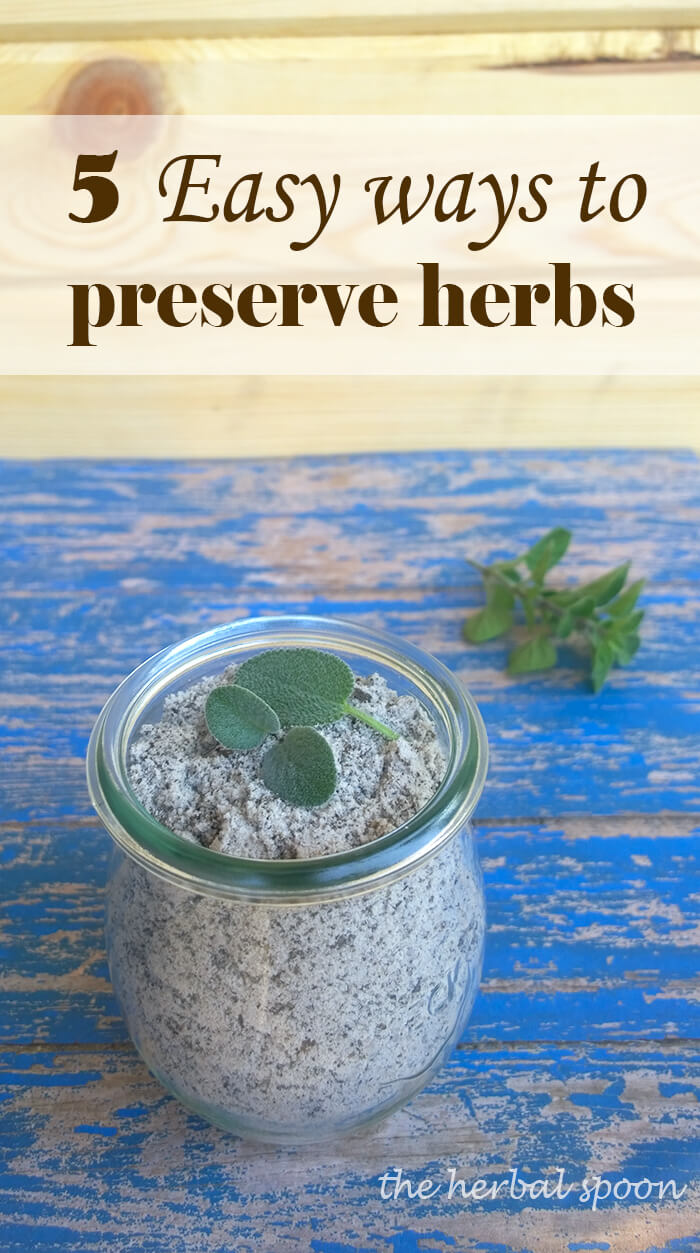 5 Easy ways to preserve herbs for winter - The Herbal Spoon