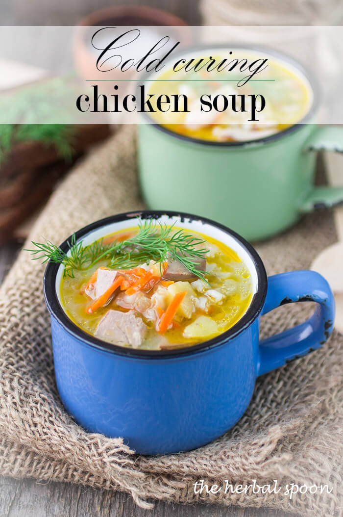 Cold busting, nutrirent dense, chicken noodle soup. - The Herbal Spoon