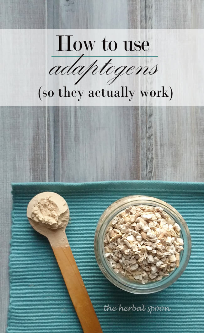 How to use adaptogenic herbs so they actually work for adrenal fatigue. You may be doing it wrong! - The Herbal Spoon