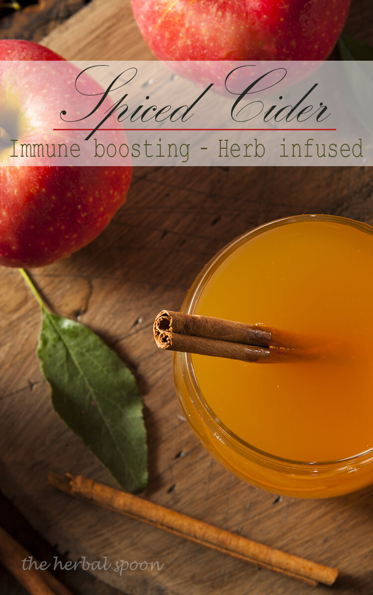 Herb infused, warming spiced apple cider to boost immunity - The Herbal Spoon